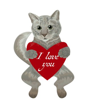 Kalbi olan bir kedinin vektör çizimi