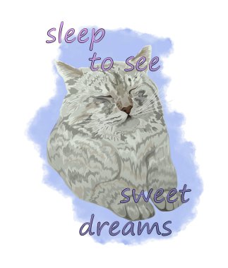 Çiçek çelenkli şirin bir kedi.