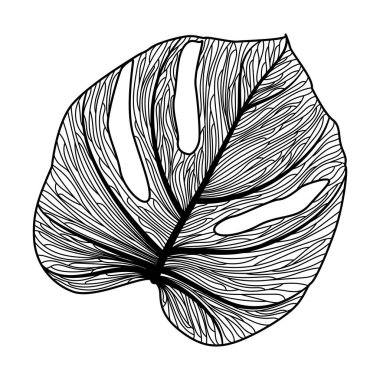Beyaz arka planda izole tropikal yapraklar. vektör illüstrasyonu