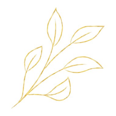 Bir bitkinin yapraklı bir dalının vektör çizimi