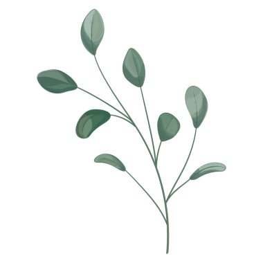 Beyaz arka planda yeşil bitki yaprakları. vektör illüstrasyonu