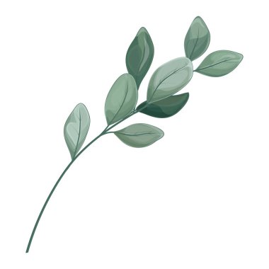 Yeşil yaprakların ve yaprakların dalı izole edilmiş ikon vektör illüstrasyon tasarımı