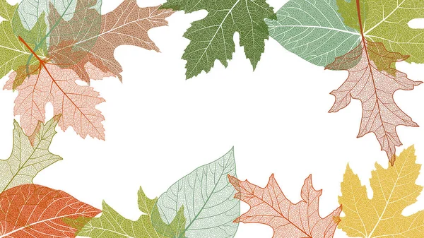Herbstblätter Herbstzeit Laub — Stockvektor