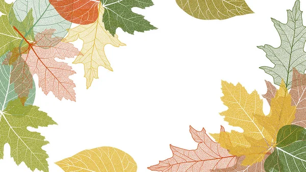 Autumn Leaves Fall Season Foliage Acorns Maple Leaf Vector Background — Stock vektor