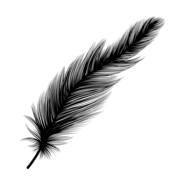 Feather Icon Black White Illustration — Stockvector