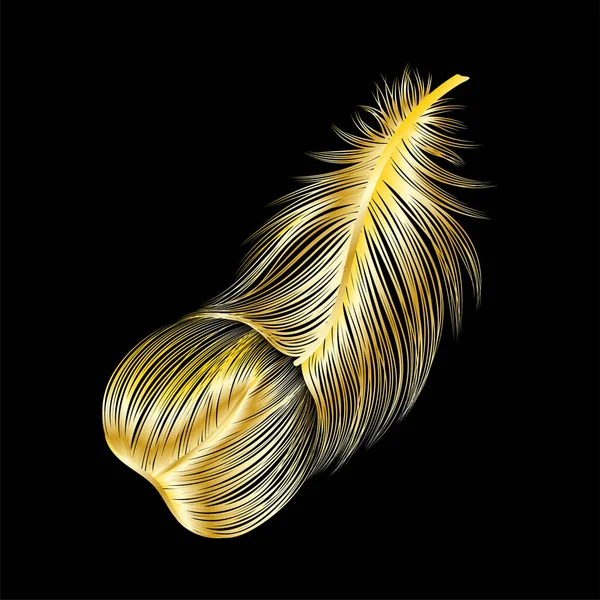 Feather Feathers Illustration Vector Black Background — ストックベクタ