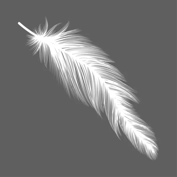Feather Icon Black White Illustration — ストックベクタ