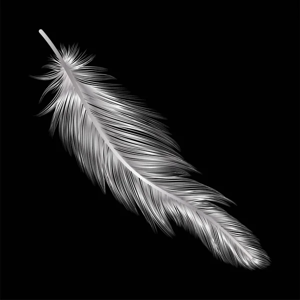 Feather Black Background — Stock Vector