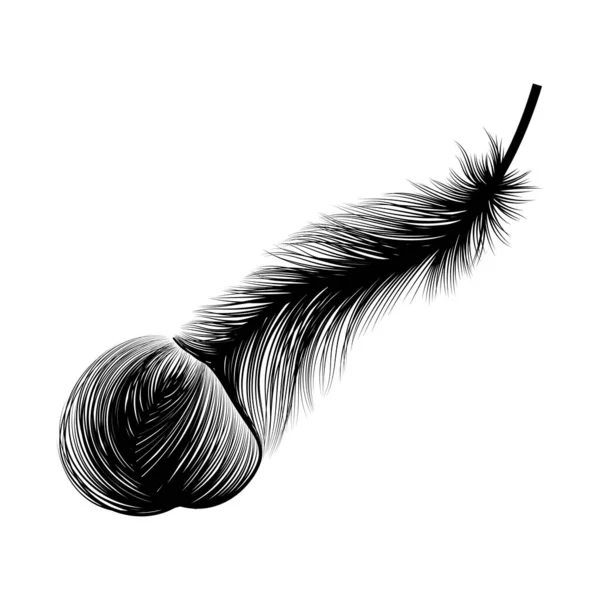 Feather Icon Black White Vector Illustration — Stock Vector