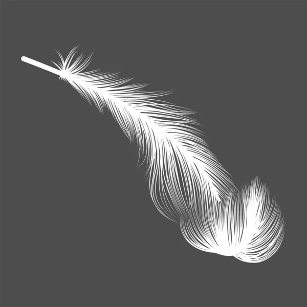 Feather Icon Black White Illustration — Stock vektor