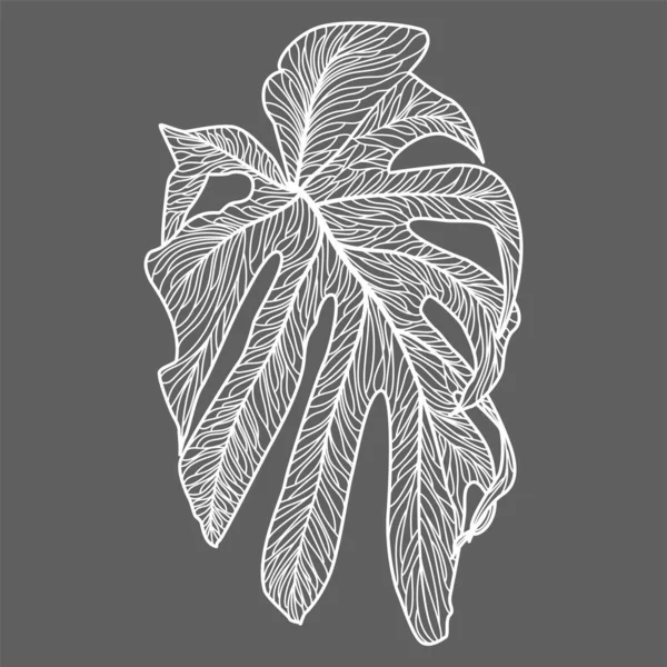 Ilustración Vectorial Una Planta Con Hojas — Archivo Imágenes Vectoriales