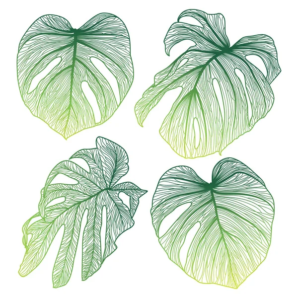 Set Tropical Leaves Isolated White Watercolor Illustration — Stock Vector