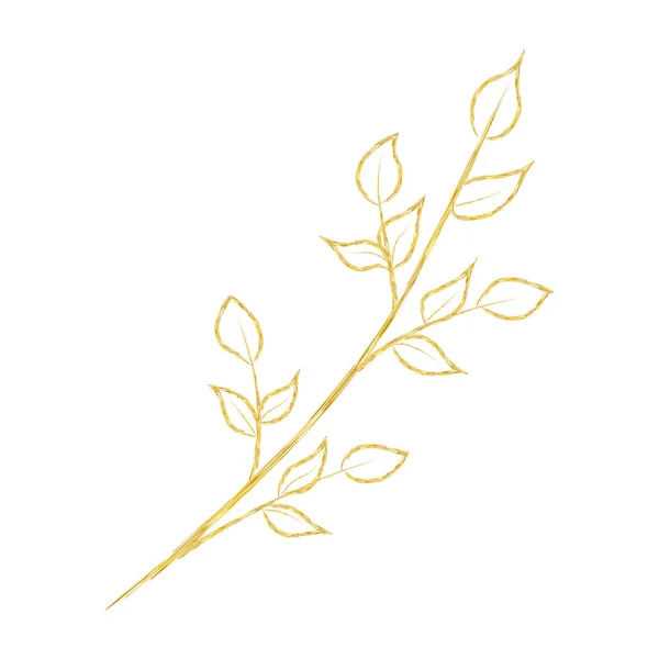 Vectorillustratie Van Een Tak Van Een Plant — Stockvector