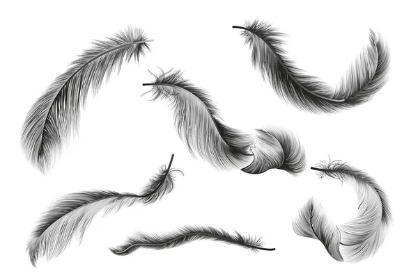Feather Feathers White Background — Archivo Imágenes Vectoriales