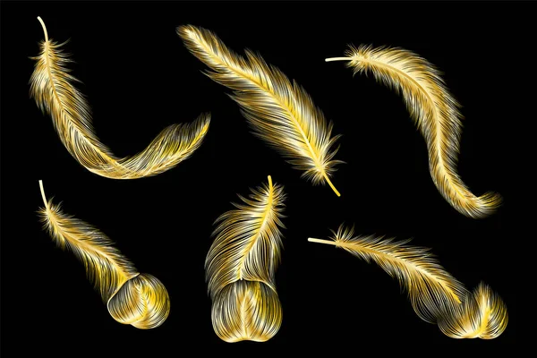 Beautiful Feathers Feather Black Background Illustration — стоковый вектор