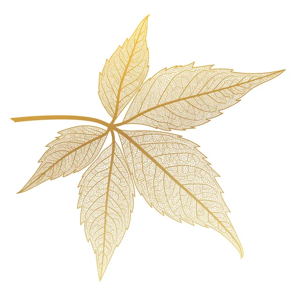 Осенние Листья Изолированы Белом Фоне — стоковый вектор