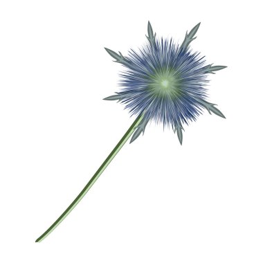 Güzel botanik fotoğrafı, doğal duvar kağıdı.