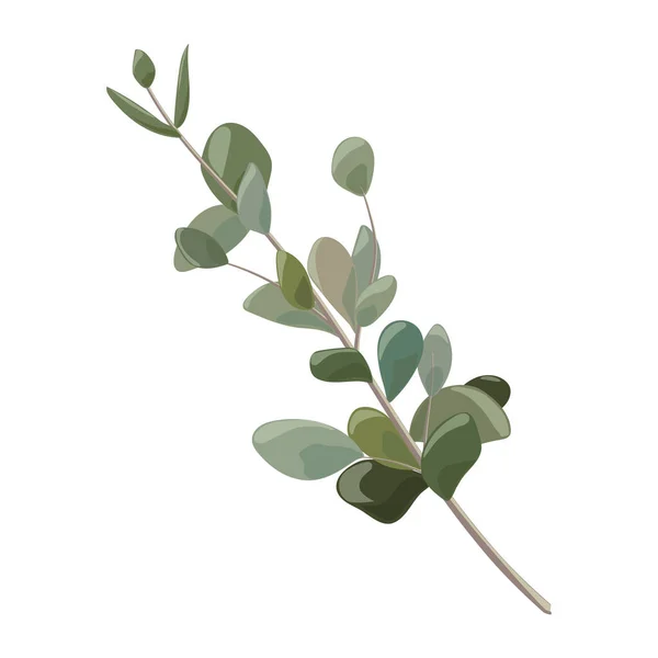 Branch Green Leaves Vector Illustration — Stockvektor