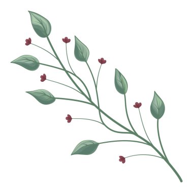 Çiçek ve yaprakların vektör çizimi, botanik ve bahçe teması
