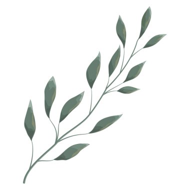 Çiçekli vektör suluboya el yeşil dal çizdi. Botanik illüstrasyon.