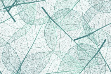 Ağaç dalları, bitki örtüsü ve doğa