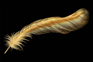 Siyah arkaplanda tüy