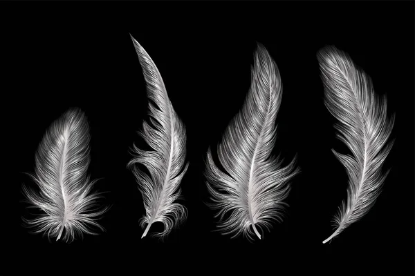 黒い背景の美しい白い羽 — ストックベクタ