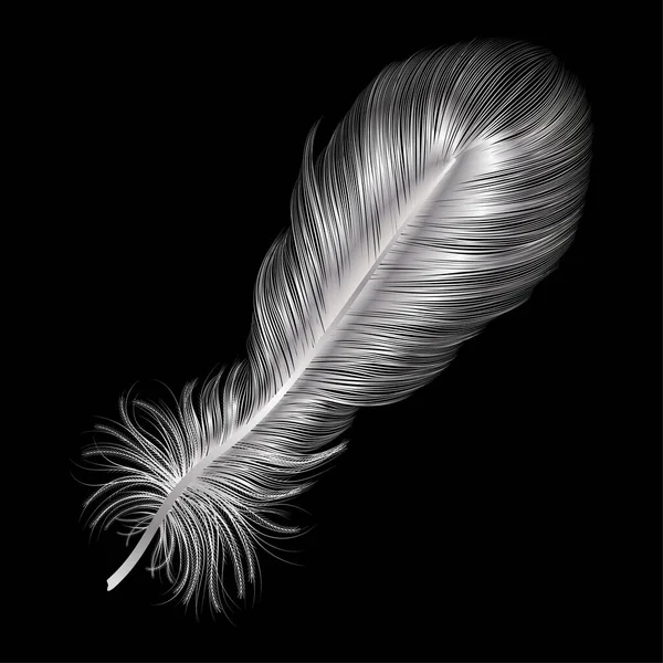 Black Feather Dark Background — Stock Vector