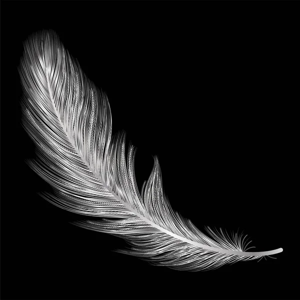 Feather Isolated Black Background — Stock Vector