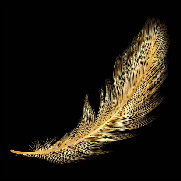 Siyah arkaplanda tüy