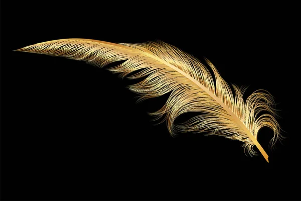 黑色背景上的羽毛 — 图库矢量图片