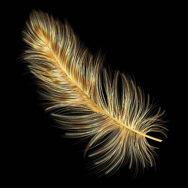 Plume Sur Fond Noir — Image vectorielle