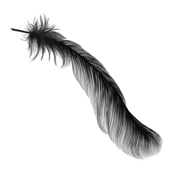 被白色背景隔离的羽毛 — 图库矢量图片