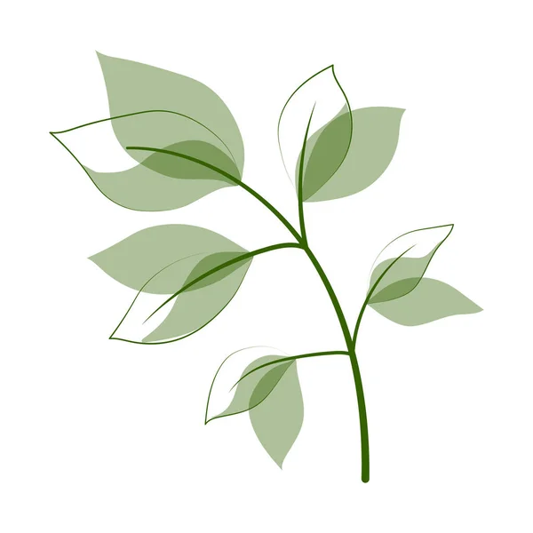 Zielone Liście Rośliny — Wektor stockowy