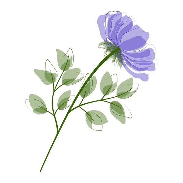 Vektor Illusztráció Egy Gyönyörű Lila Virág — Stock Vector