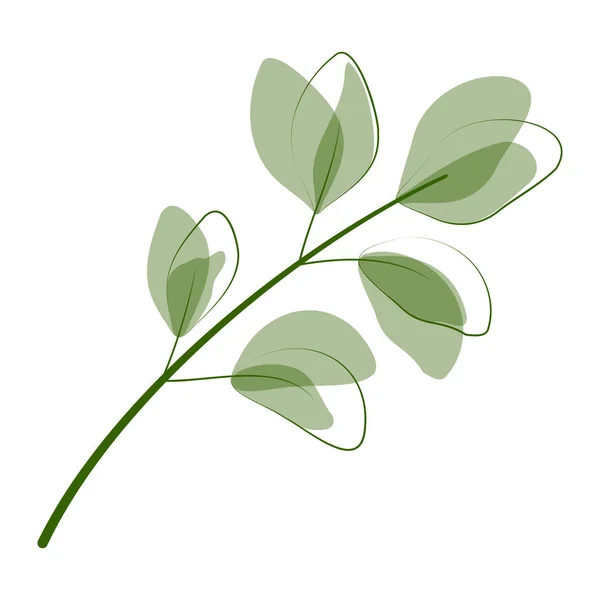 Hojas Verdes Plantas Aisladas Sobre Fondo Blanco — Vector de stock