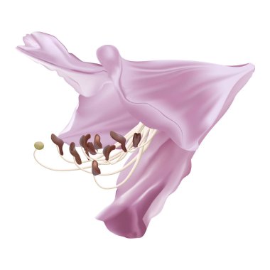 gerçekçi 3D pembe sıçrama canlandırması