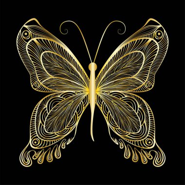 Siyah arkaplanda kelebek