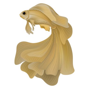 Beyaz arka planda bir balığın çizimi