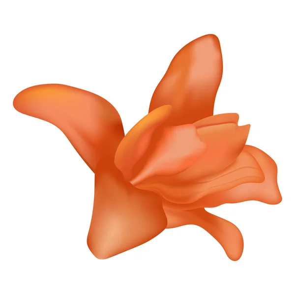 Vector Illustration Beautiful Pink Lily Flower — Archivo Imágenes Vectoriales