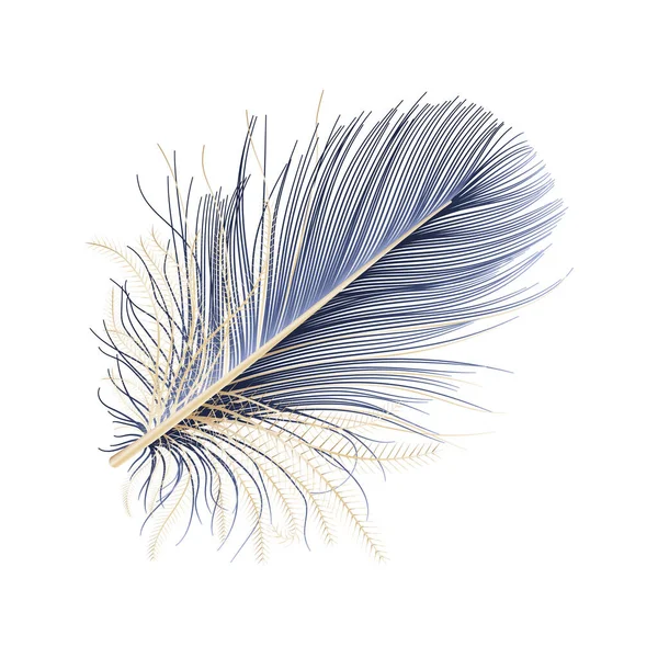 Plume Isolée Sur Fond Blanc — Image vectorielle