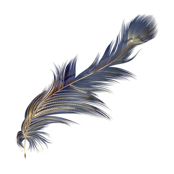 Feather Isolerad Vit Bakgrund — Stock vektor