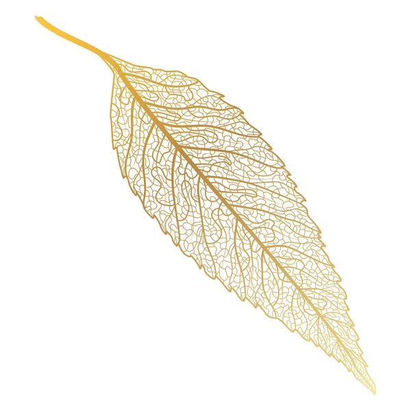 Leaf Maple Leaves Isolated White Background Vector Illustration — 图库矢量图片