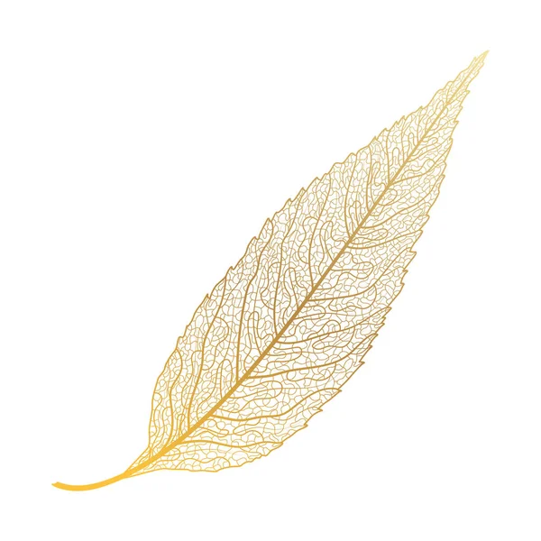 Illustration Vectorielle Une Feuille Une Plante — Image vectorielle