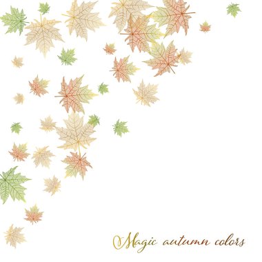Sonbahar yapraklı güzel bir arka plan. Vektör illüstrasyonu. 