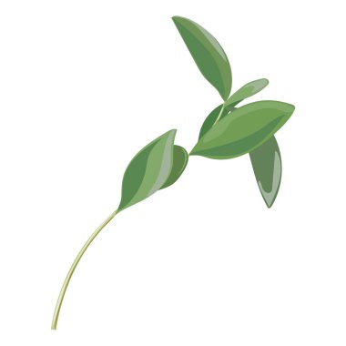 yeşil yapraklar ve yapraklar ikon vektör illüstrasyon tasarımı