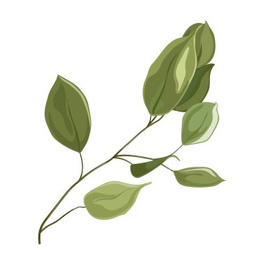 Yapraklı yeşil bitki yaprakları vektör illüstrasyon tasarımı