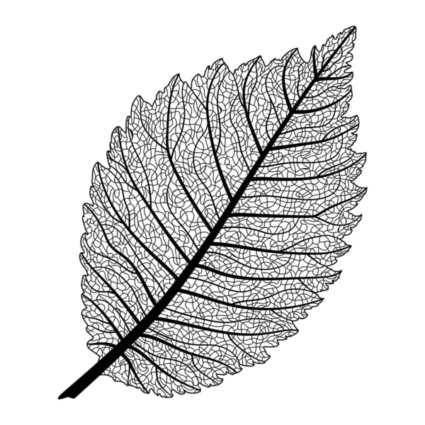 Leaf Icon Black Background — Image vectorielle