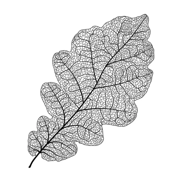 Leaf Icon Black Background — Image vectorielle