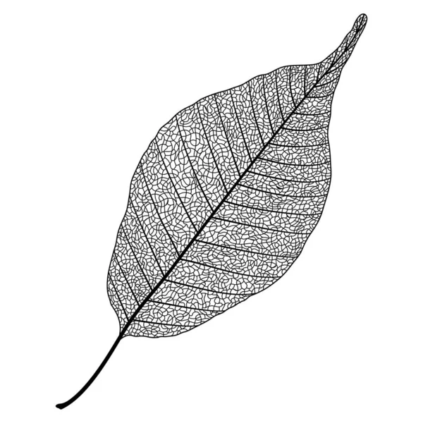 Leaf Icon Black Background — Vector de stock